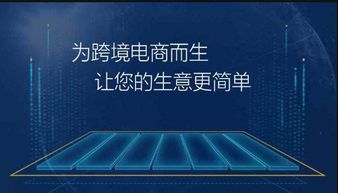 亞馬遜無貨源erp開發(fā)貼牌定制個(gè)性化定制亞馬遜無貨源線上下培訓(xùn)
